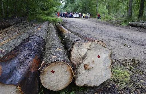 Bochenek o wysłuchaniu przed TS ws. Puszczy Białowieskiej: Zadziwiający brak przygotowania urzędników UE