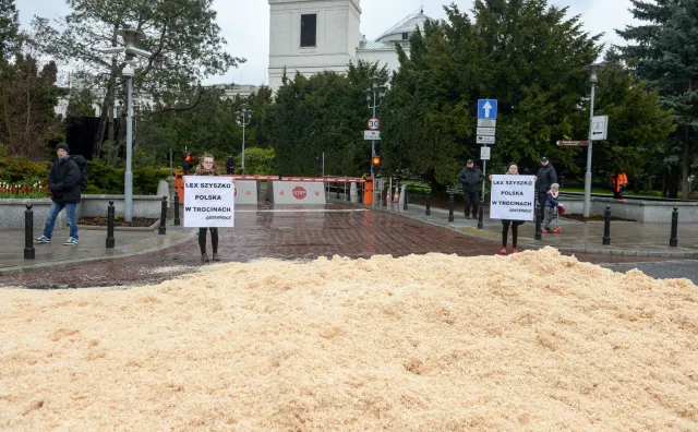 Greenpeace: Trociny przed Sejmem na znak sprzeciwu wobec ustawy dot. wycinki drzew
