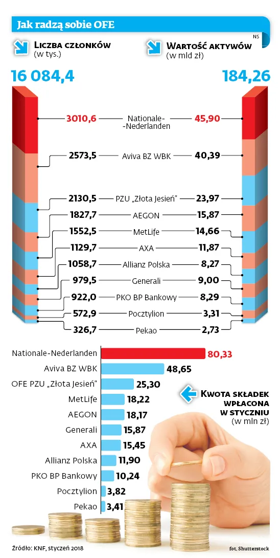 3259853-jak-radza-sobie-ofe.jpg