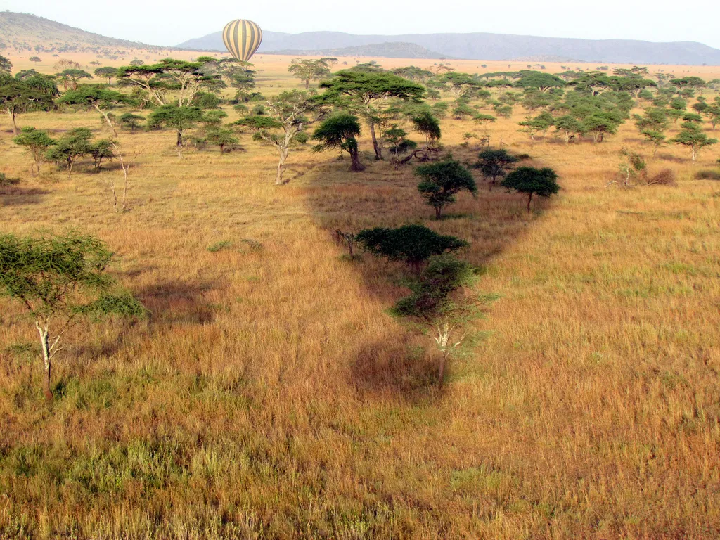 Po 9 latach ponowne otwarcie Ambasady RP w Tanzanii