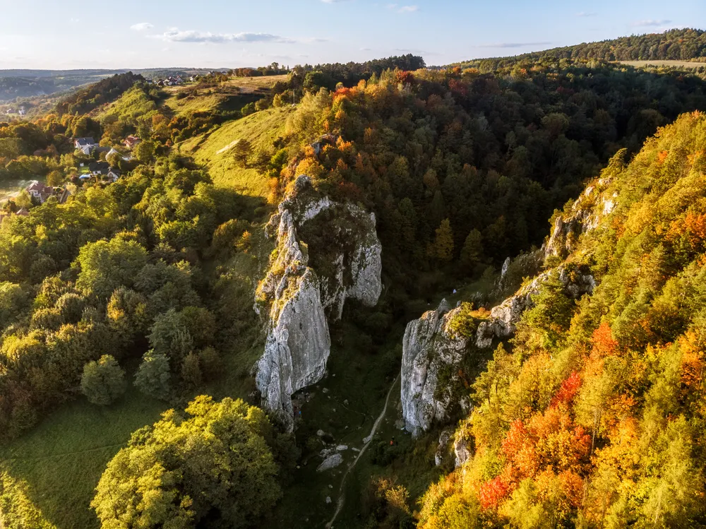 Kolej potnie Jurę Krakowsko-Częstochowską? Planowane linie przechodzą przez Pustynię Błędowską i Dolinki Krakowskie
