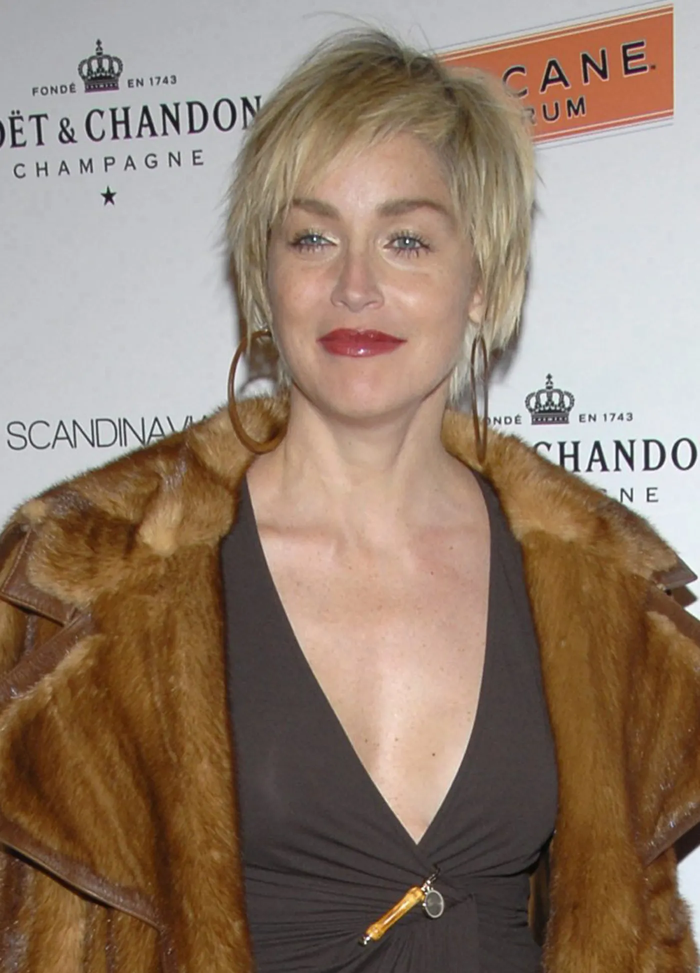 sharon_stone_28837a_47890.jpg