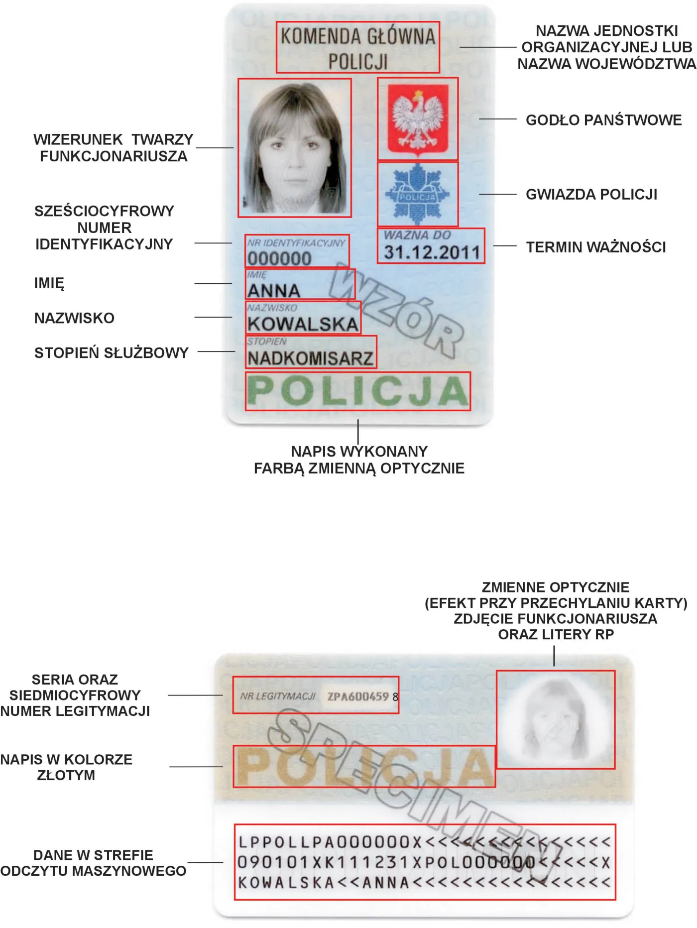 Te legitymacje mają być praktycznie niepotrzebne do podrobienia