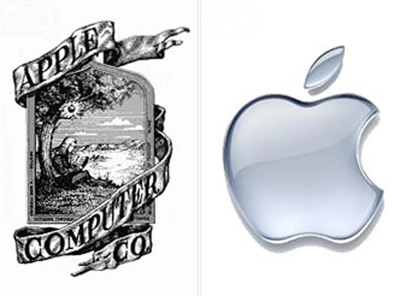 fr_apple_235978a_761645.jpg