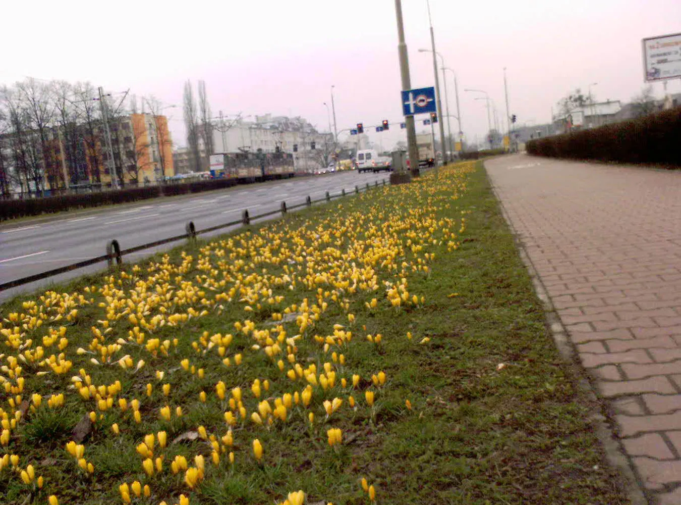 fr_wiosna3_176664a_1213842.jpg