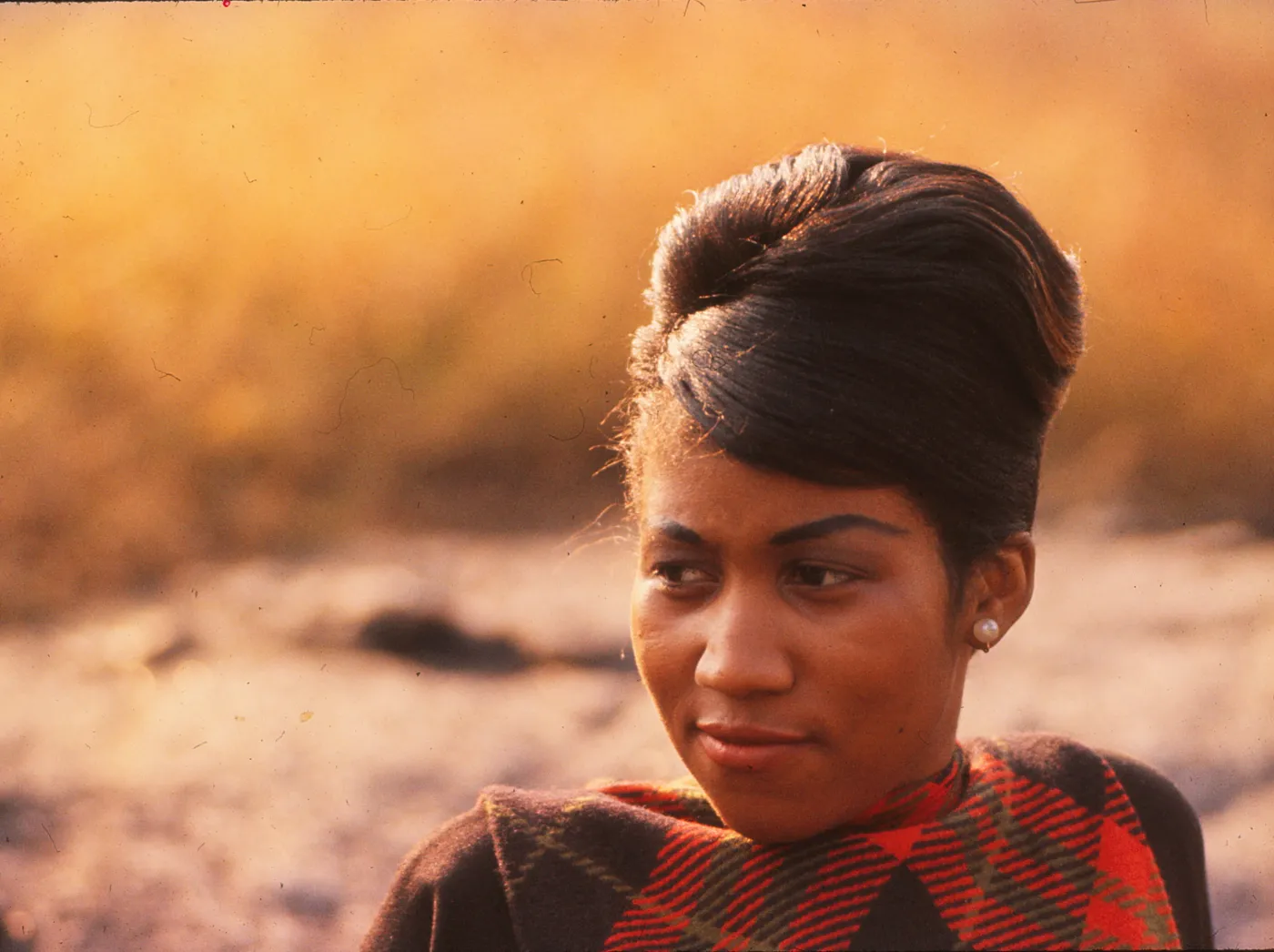 2017774-aretha-franklin.jpeg