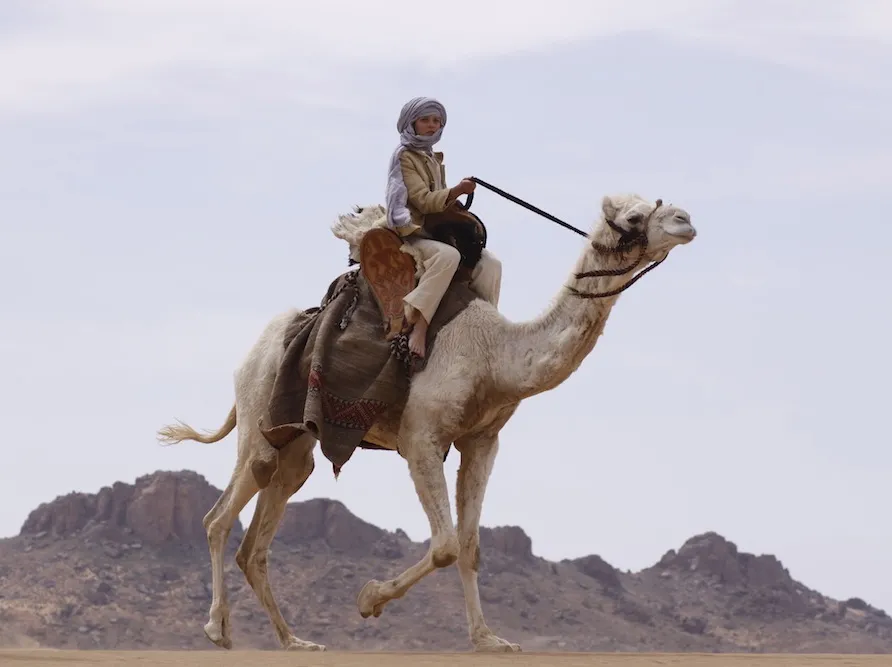 2250924-niebo-nad-sahara.jpg