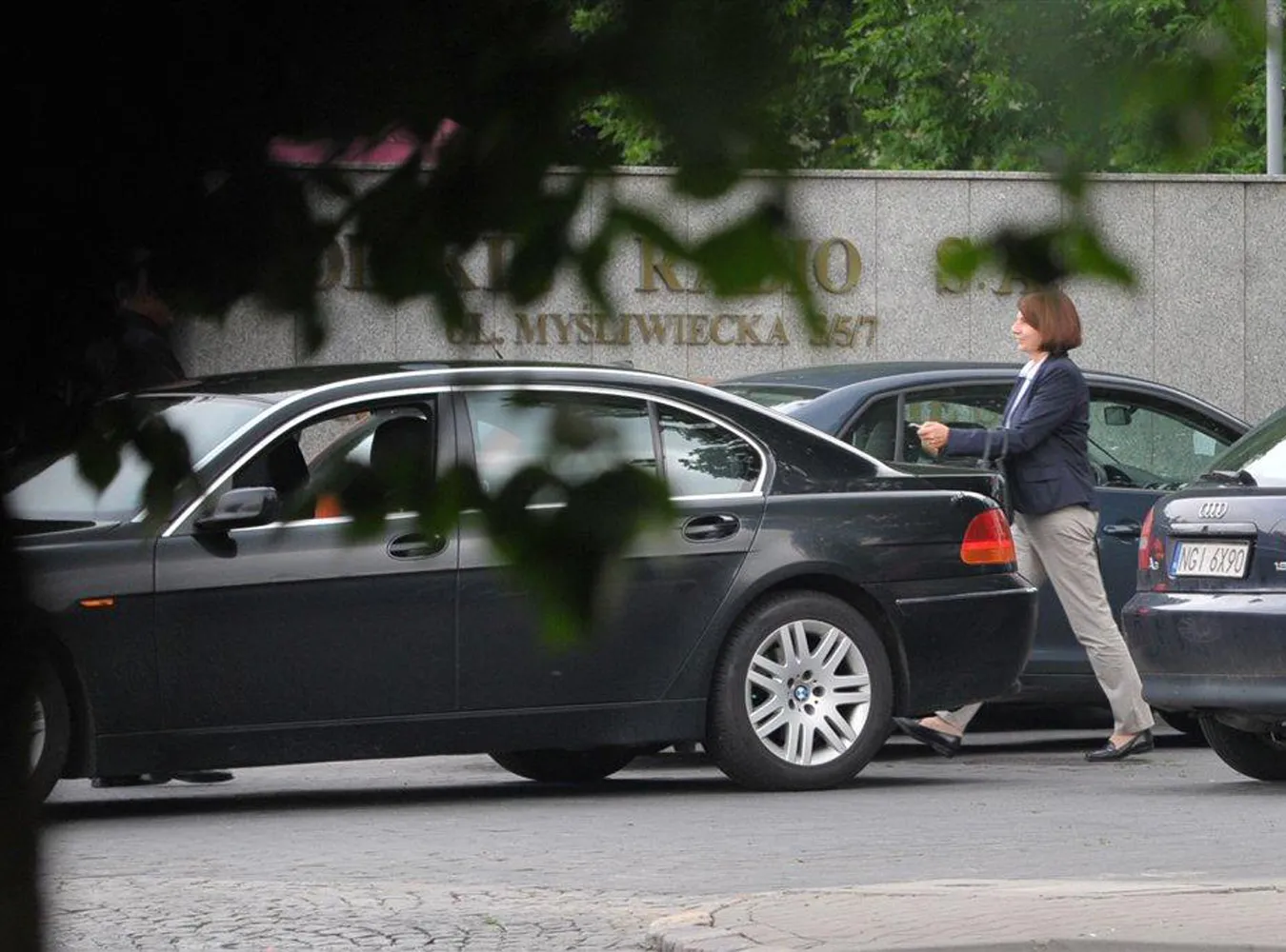 Julia Pitera, minister ds. korupcji 
