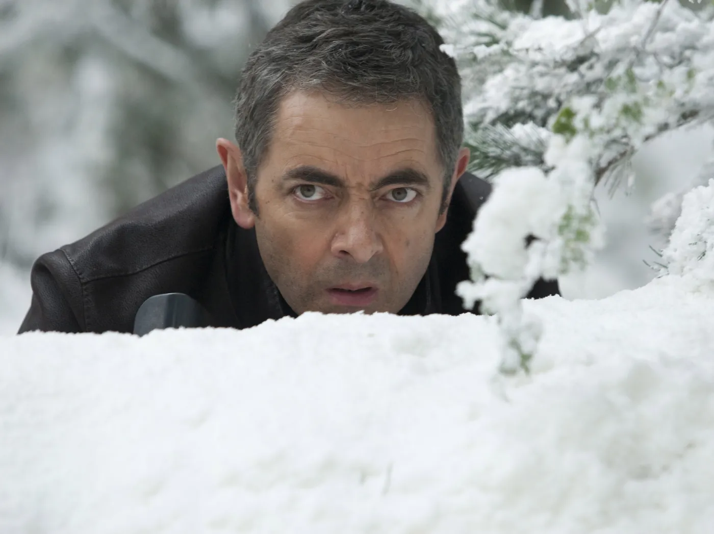 2490166-johnny-english-2.jpg