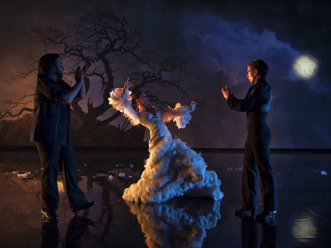 2376973-flamenco-flamenco.jpg