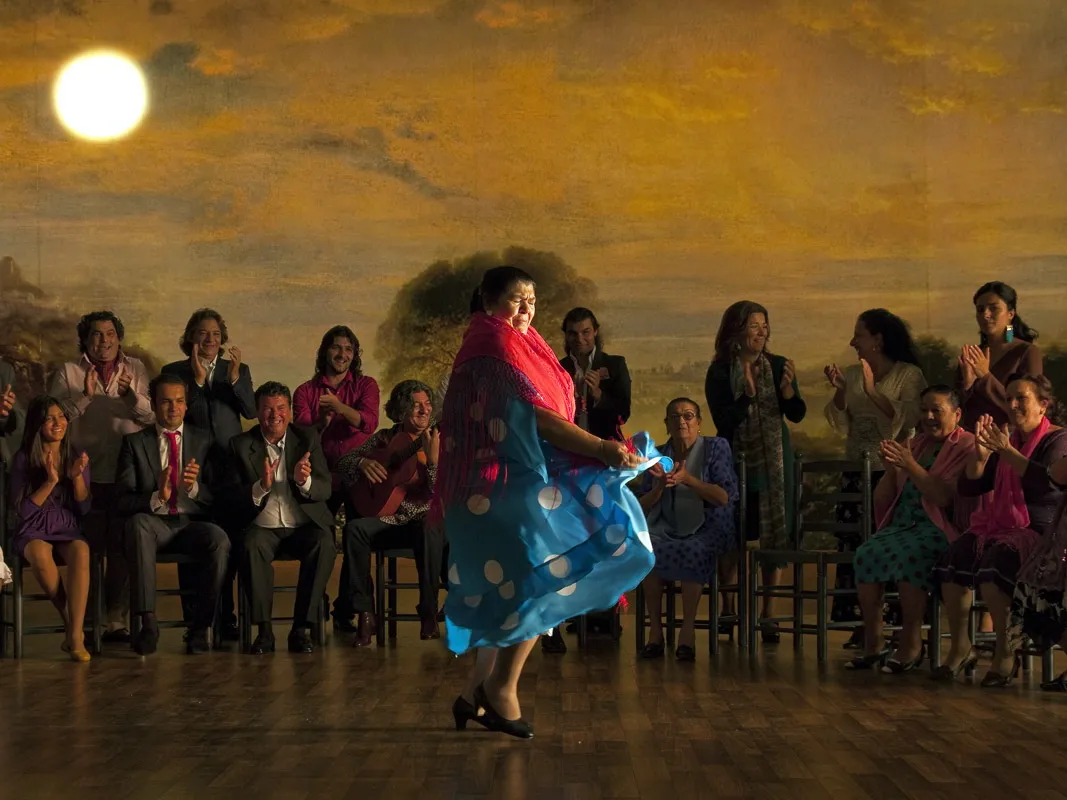 2377048-flamenco-flamenco.jpg
