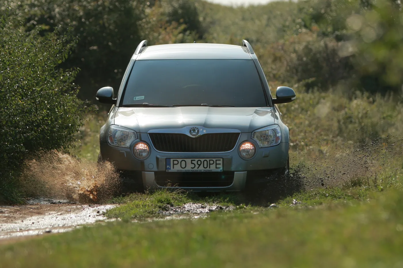 W Polsce narodzi się gigant motoryzacyjny