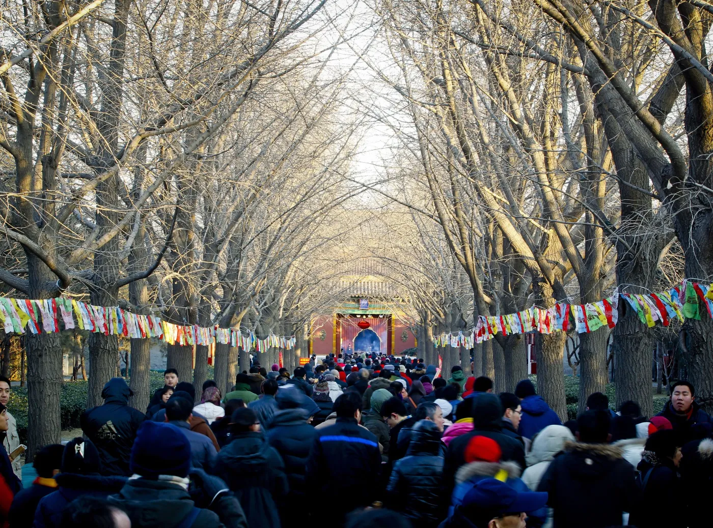 3014085-chiny-rok-smoka.jpg