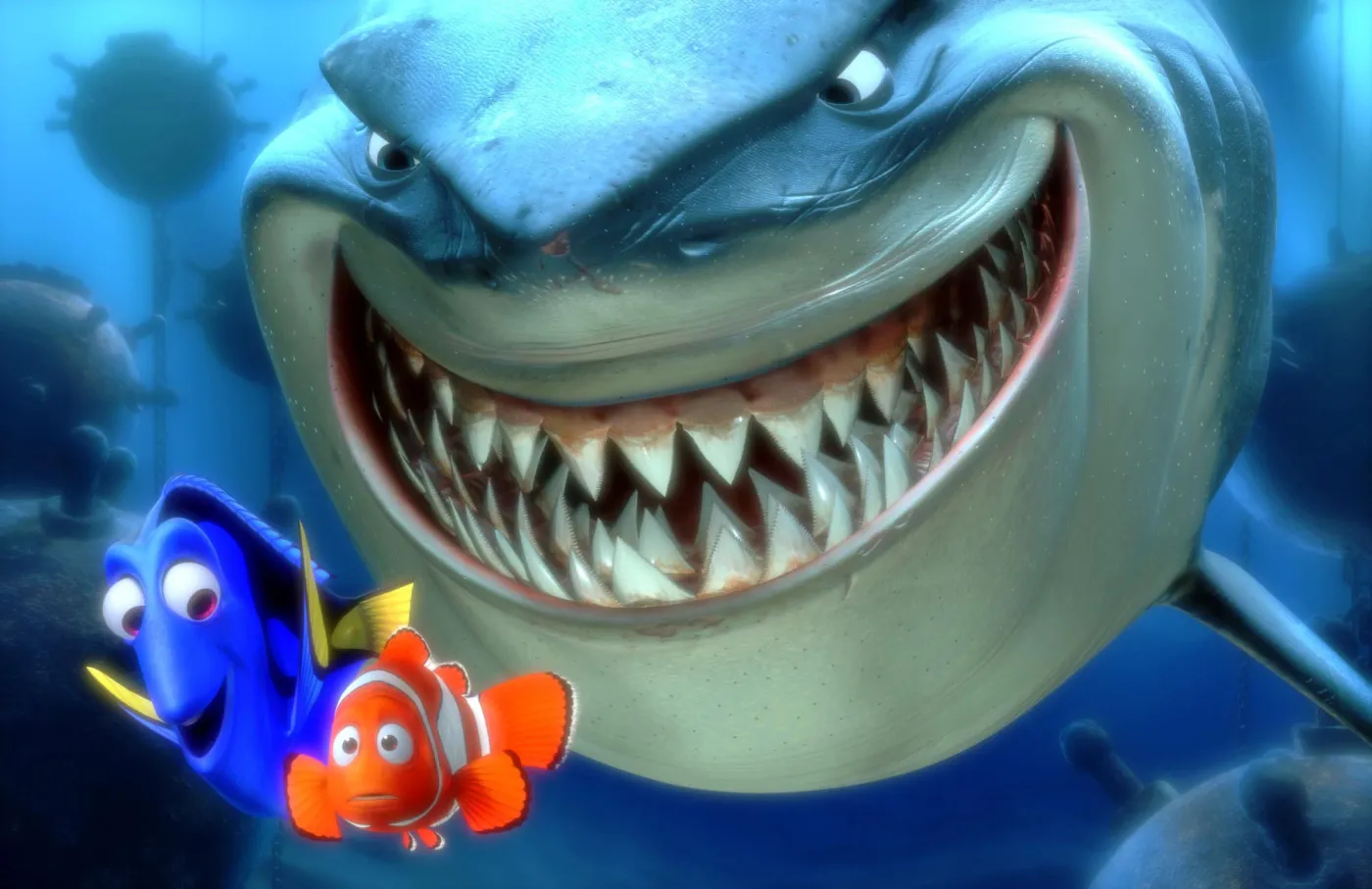 3701181-gdzie-jest-nemo.jpg