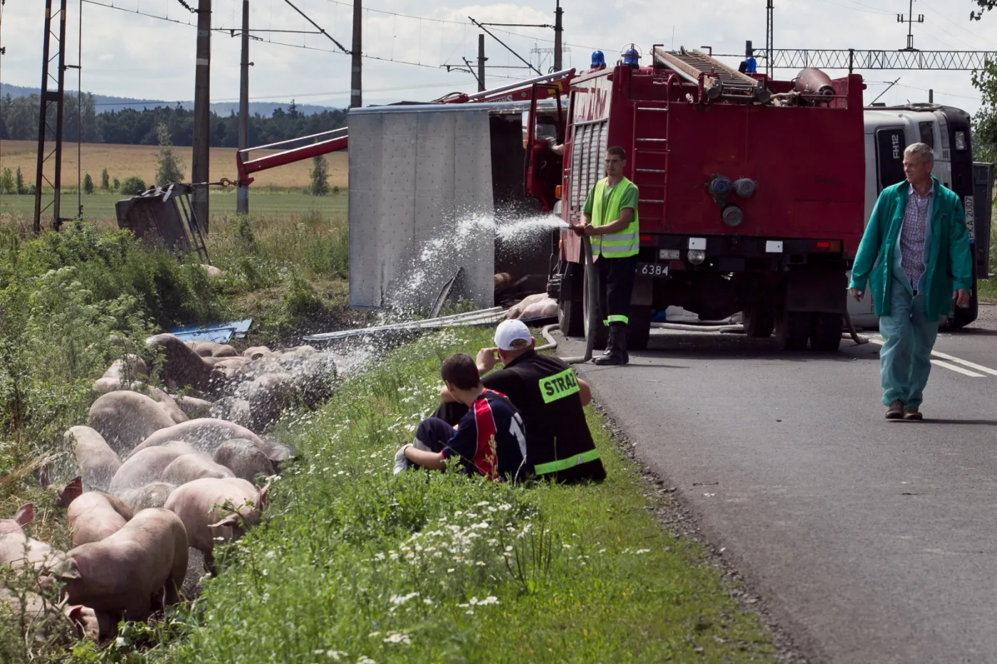 3755415-tir-przewozacy-ok.jpg