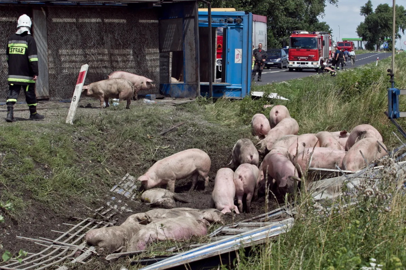 3755299-tir-przewozacy-ok.jpg