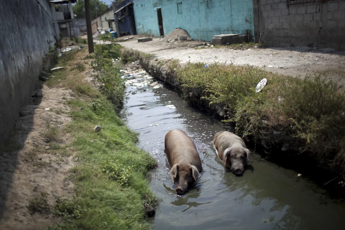 3600029-honduras-wiezienie.jpg