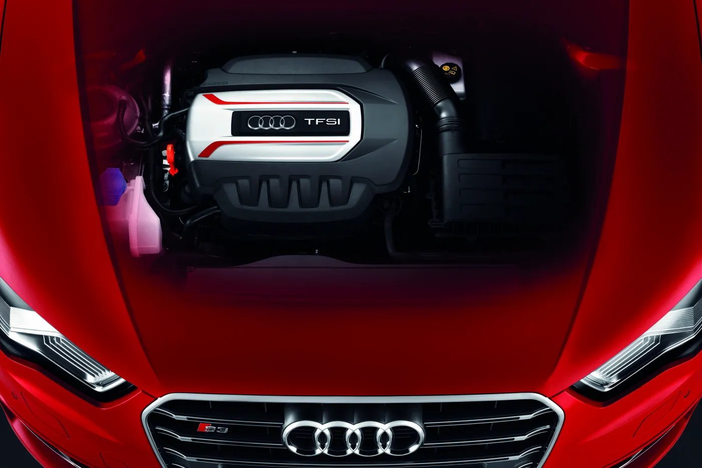4061655-s3120015-medium.jpg