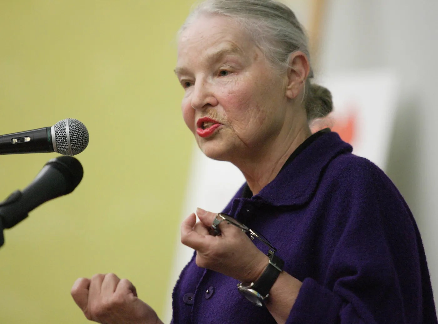 Jadwiga Staniszkis