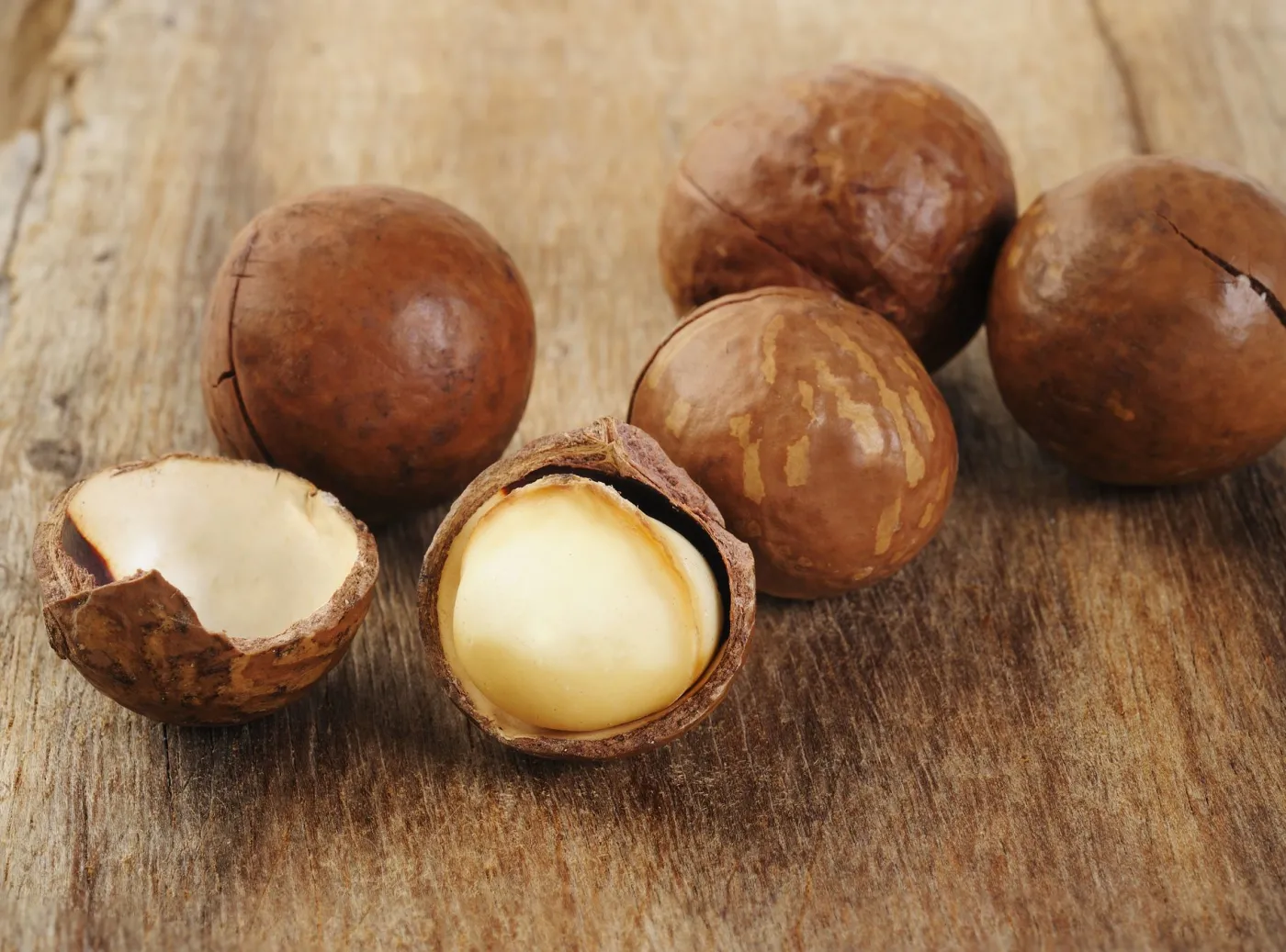 2562387-orzechy-macadamia.jpg