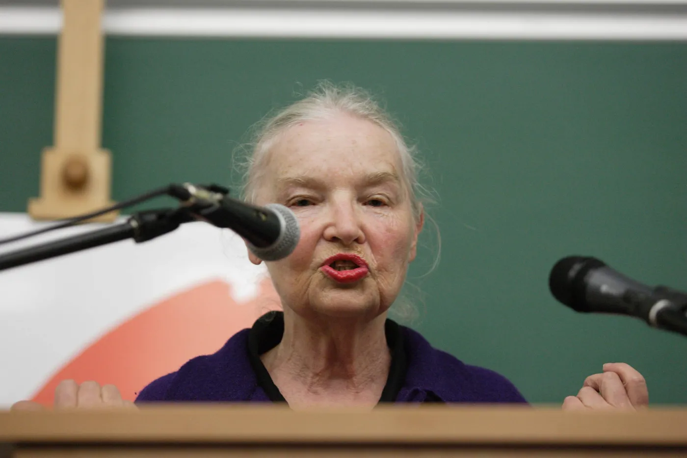 Jadwiga Staniszkis
