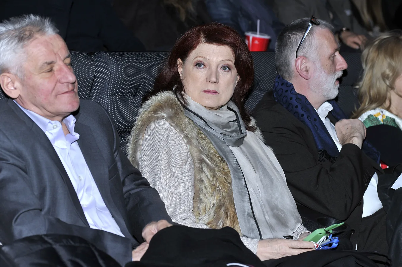 4807747-urszula-dudziak.jpg