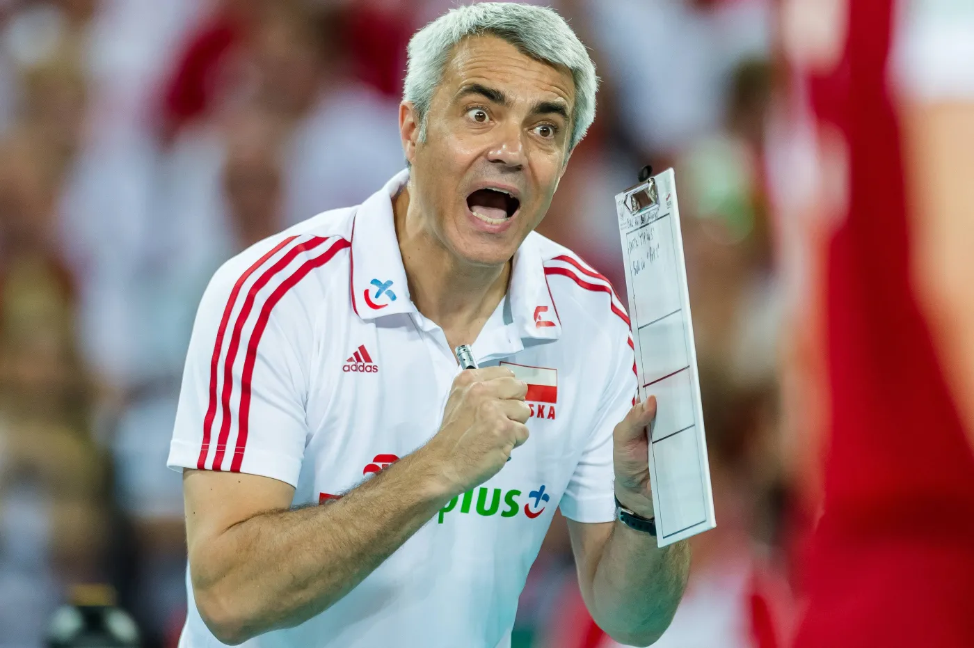 Andrea Anastasi