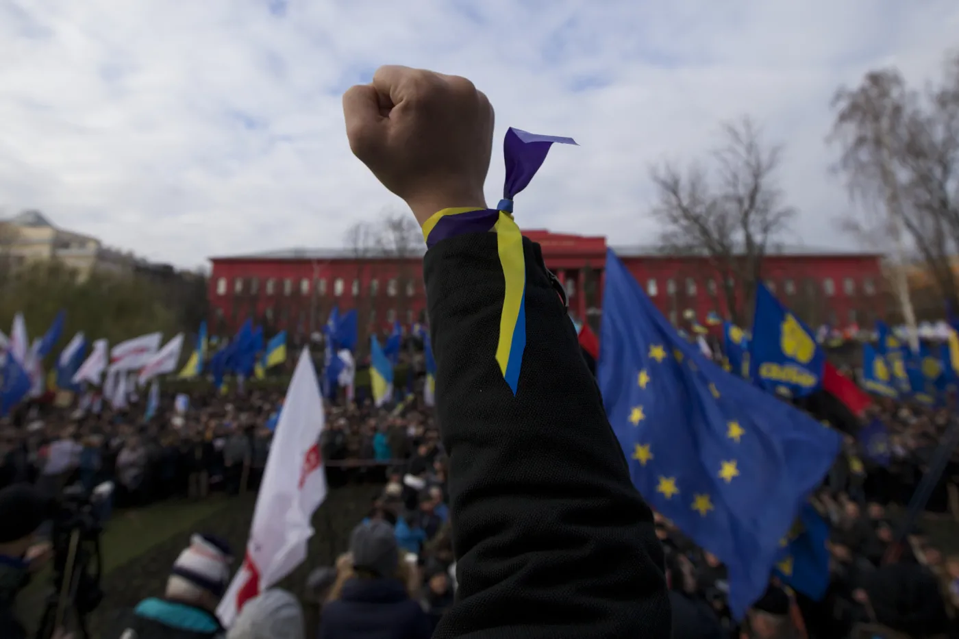 5691902-protesty-w-kijowie.jpg