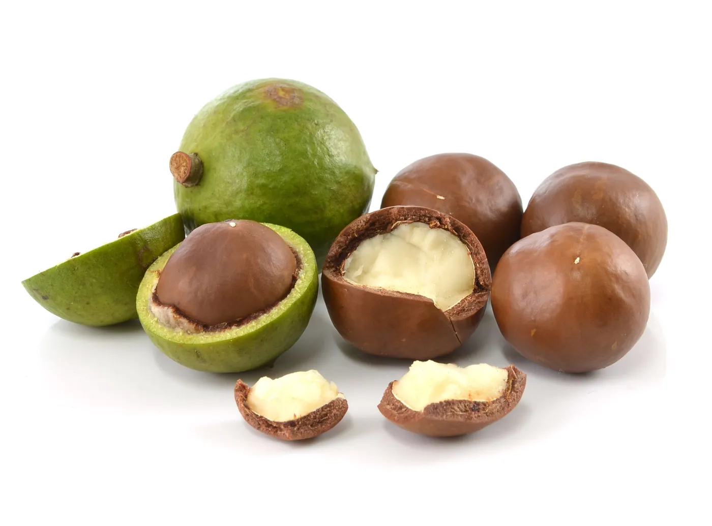 5692816-orzechy-makadamia.jpg