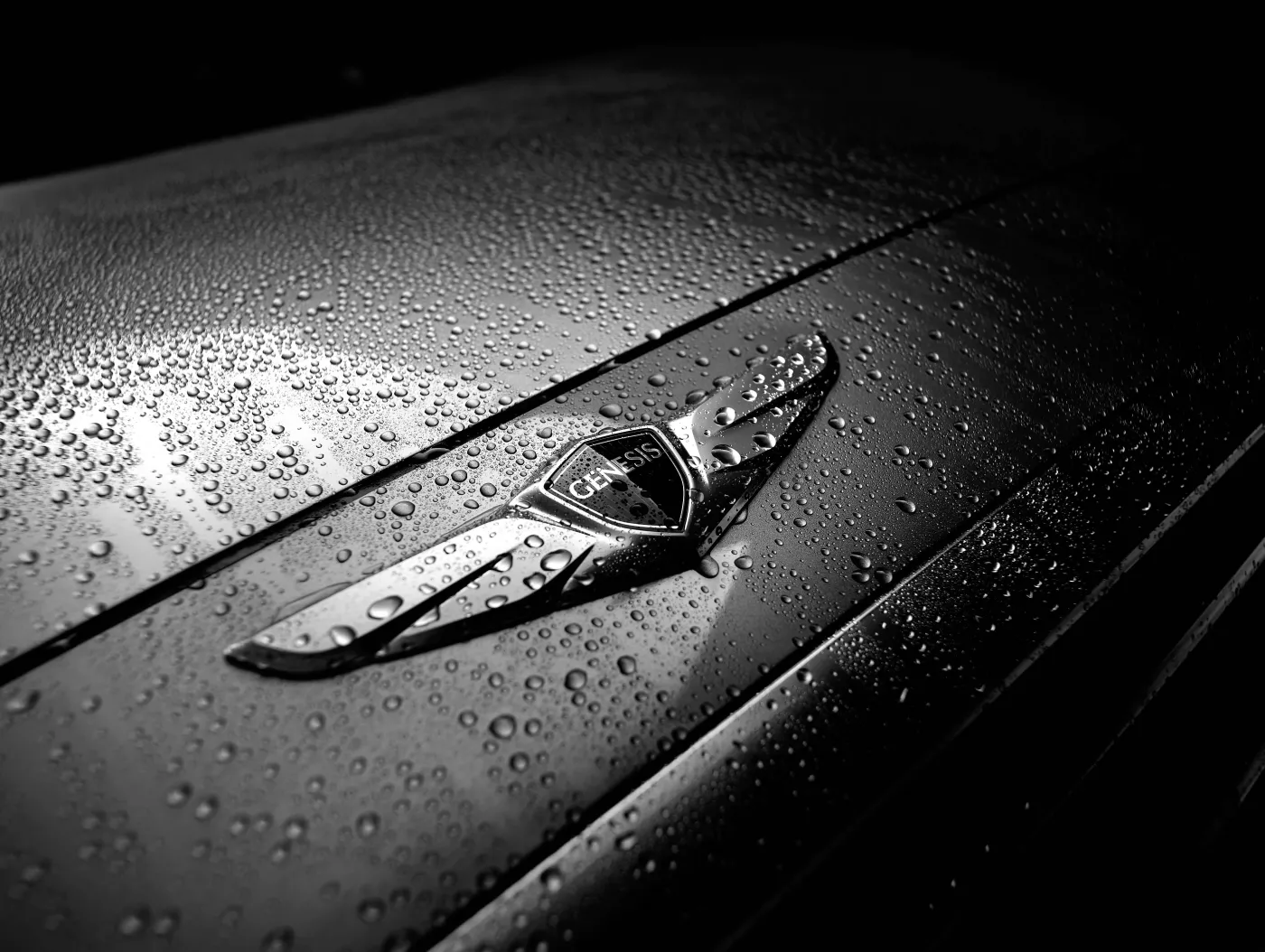 5698678-dh-genesis-badge.jpg