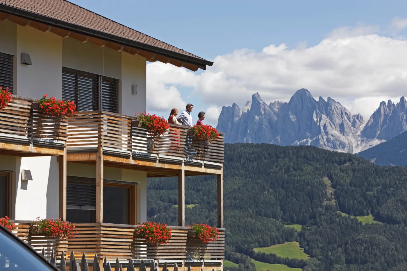 5657309-roter-hahn-alpy.jpg