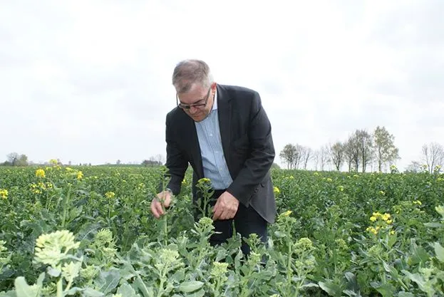 6245672-maciej-mojzesowicz.jpg