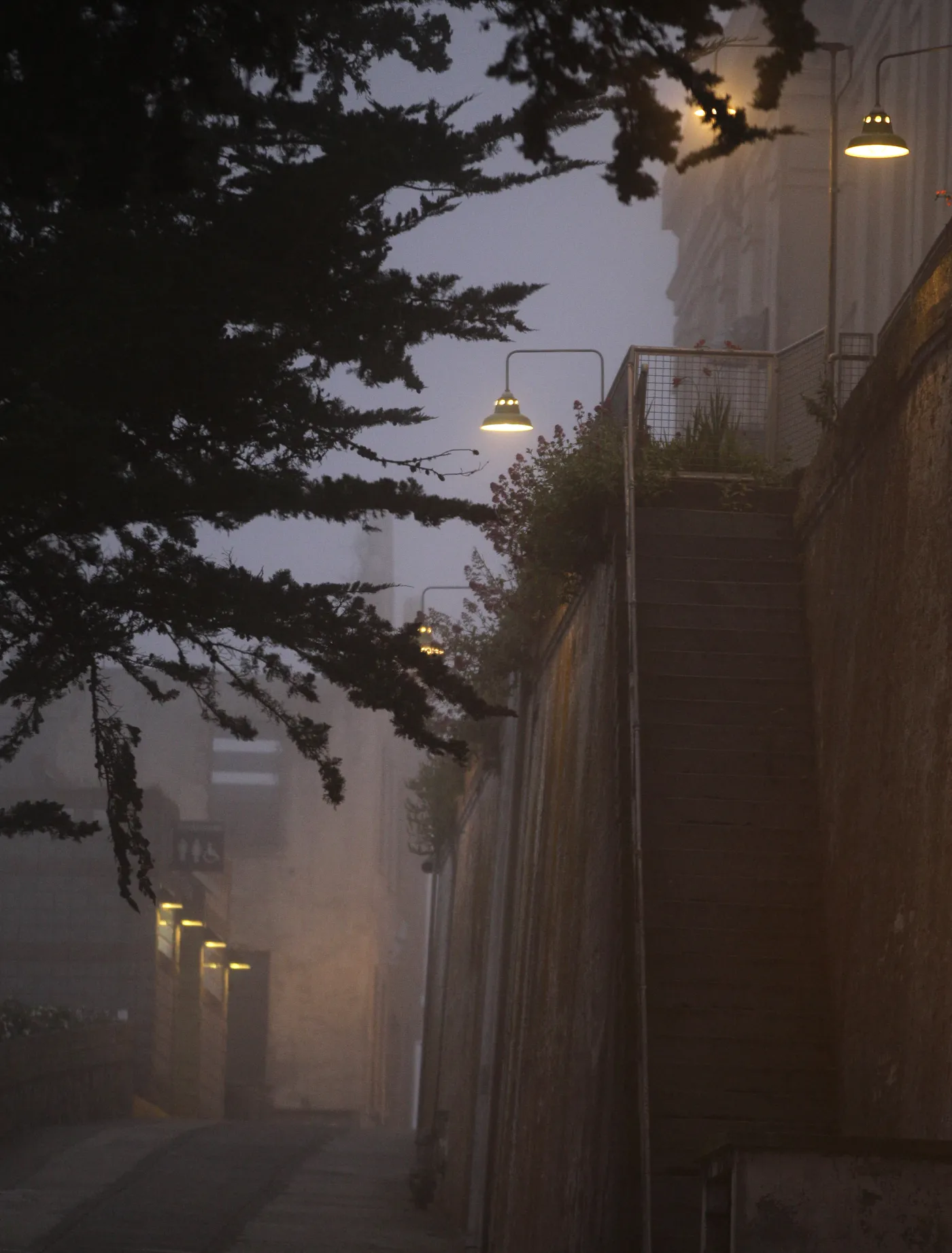 5904192-wiezienie-alcatraz.jpg