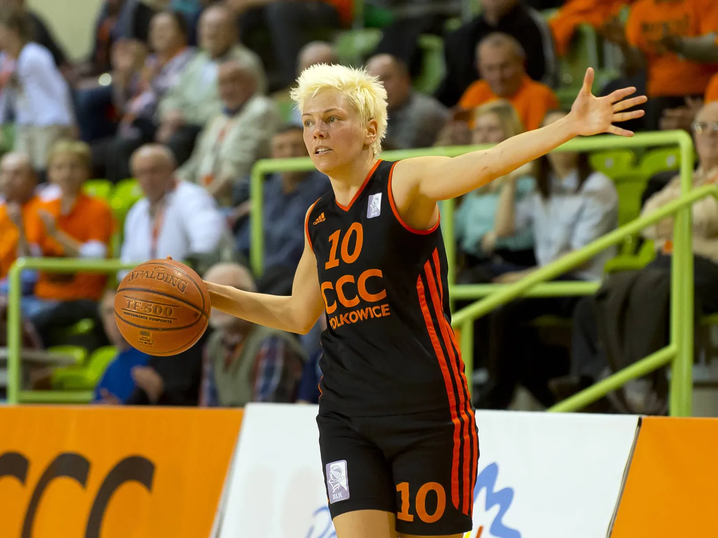 Jelena Skerovic