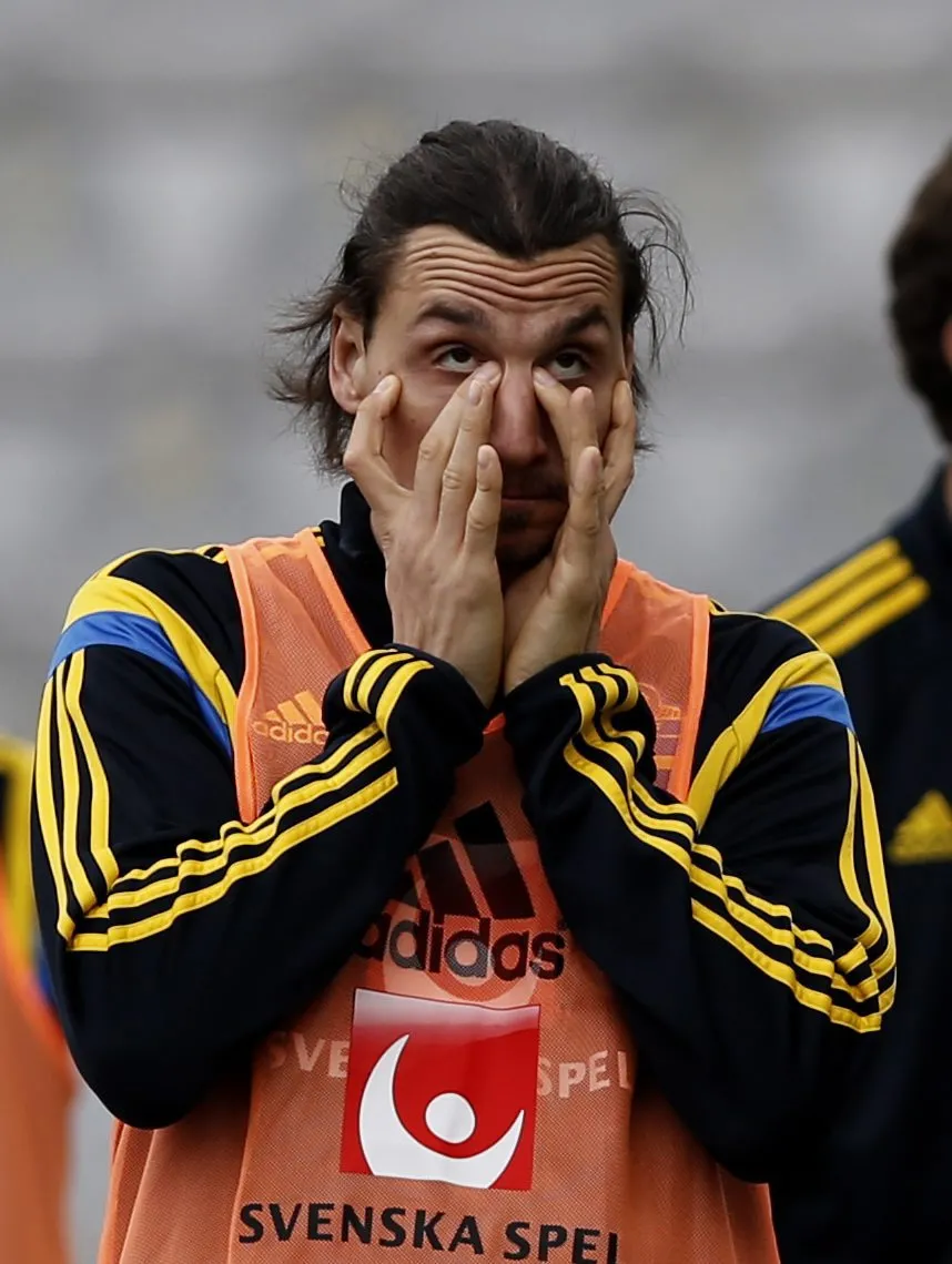 6008633-zlatan-ibrahimovic.jpg
