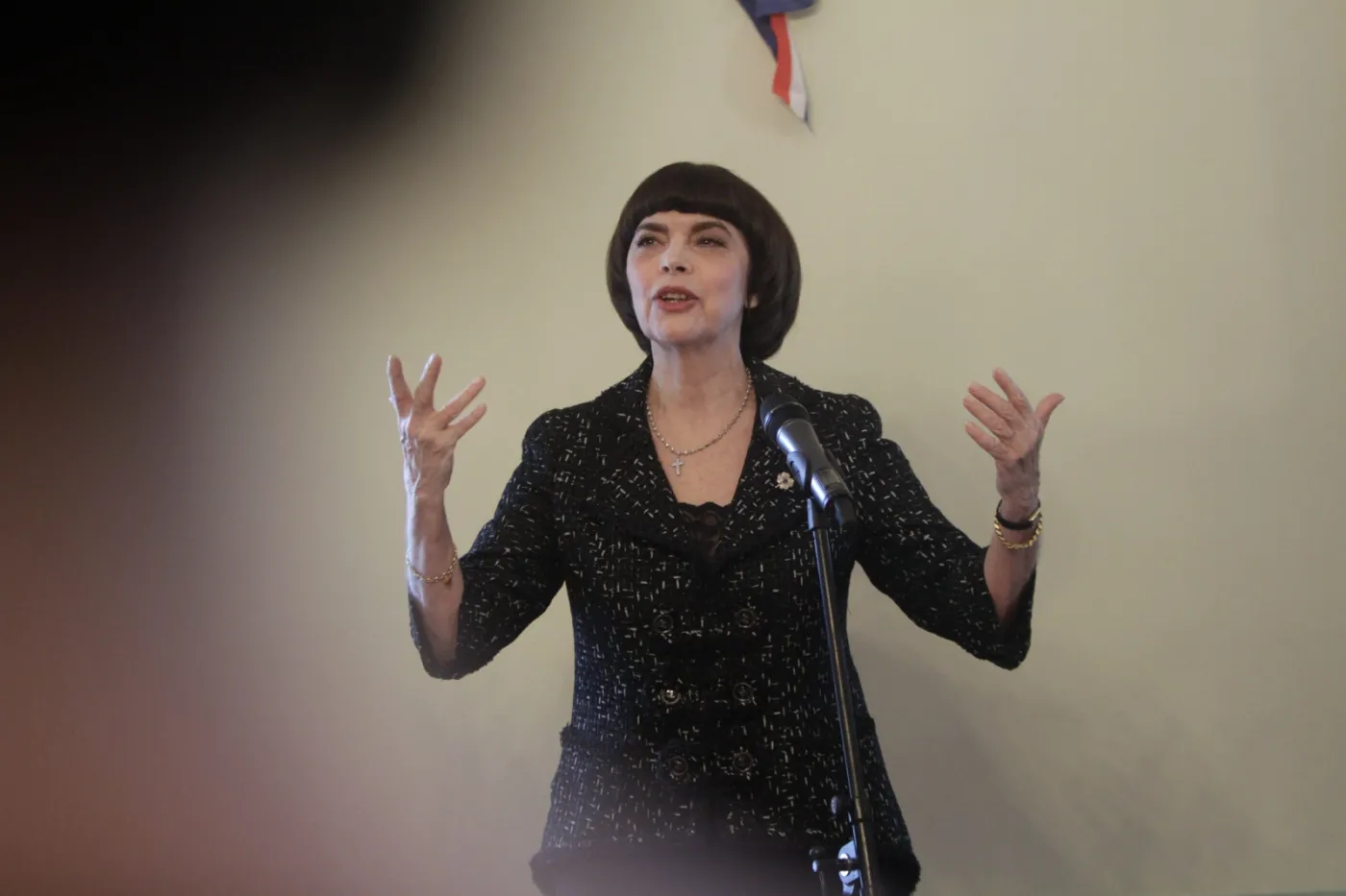 6025951-mireille-mathieu.jpg