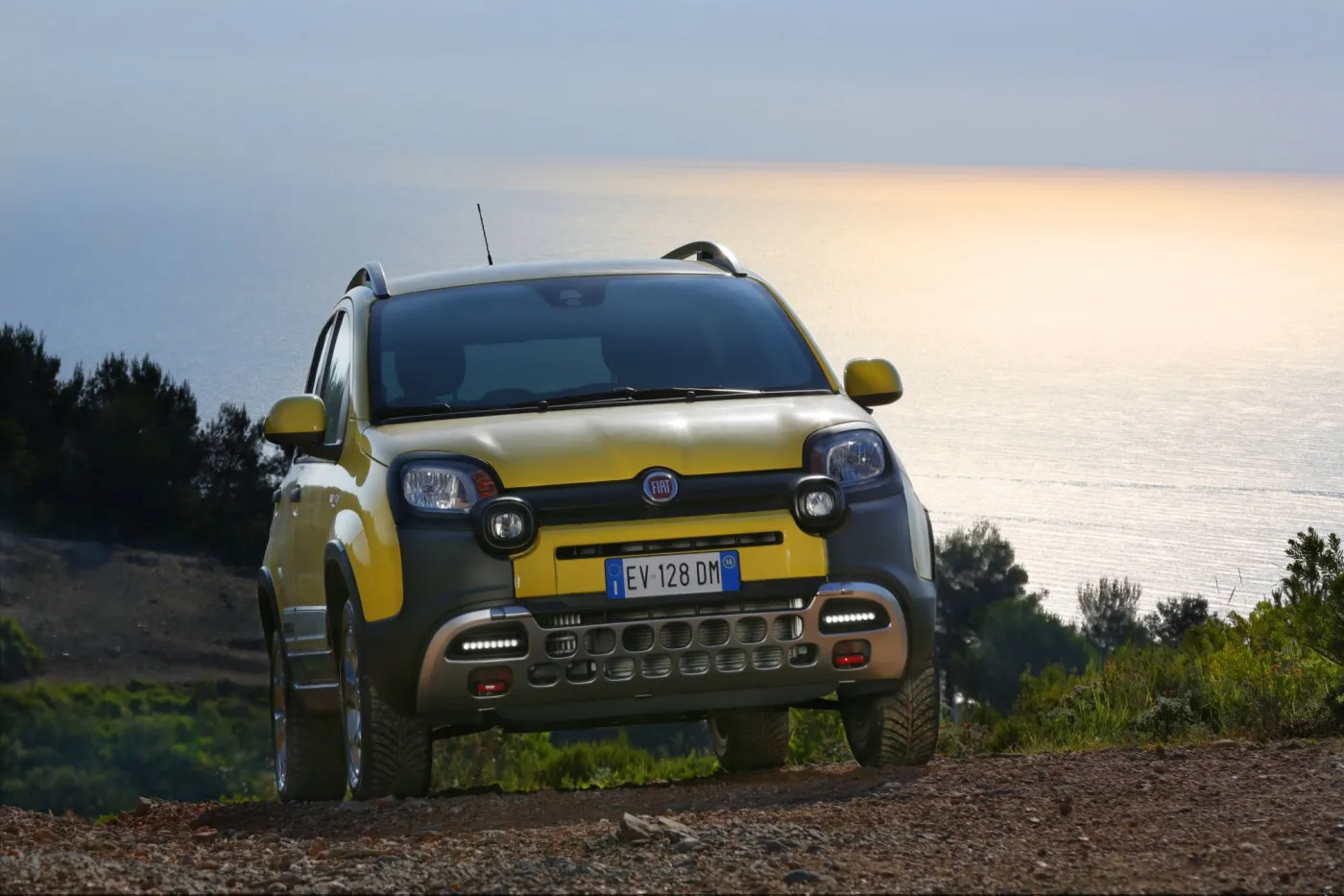 6615944-fiat-panda-cross.jpg