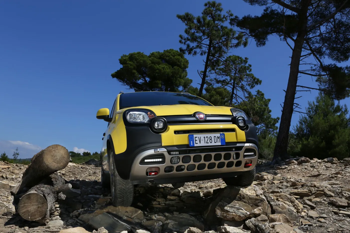 6615973-fiat-panda-cross.jpg