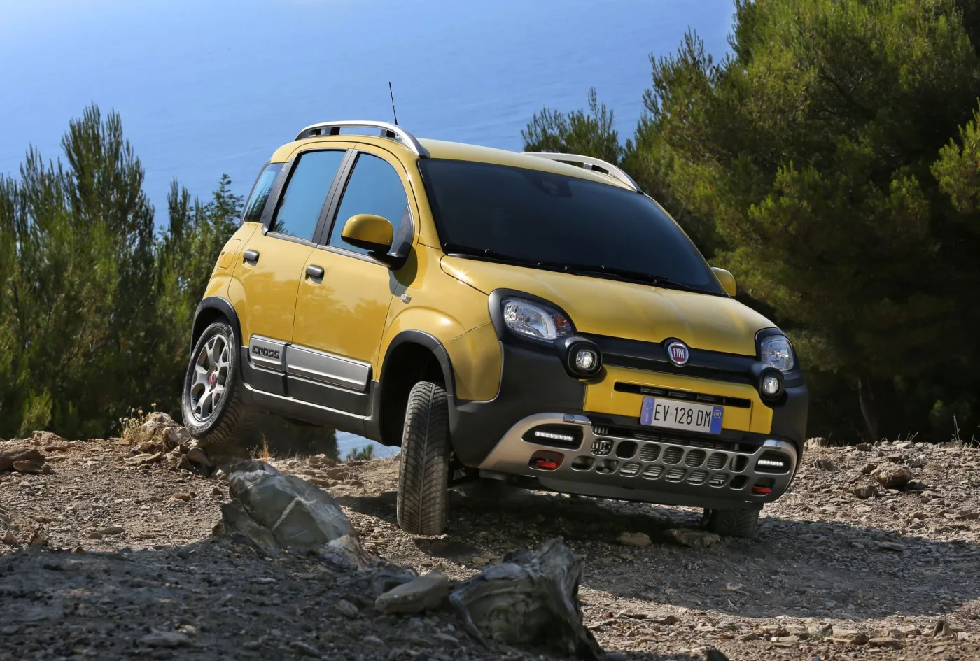 6616002-fiat-panda-cross.jpg