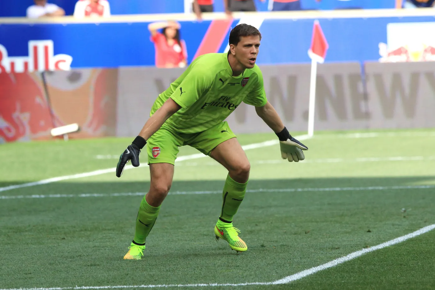 6625146-wojciech-szczesny.jpg