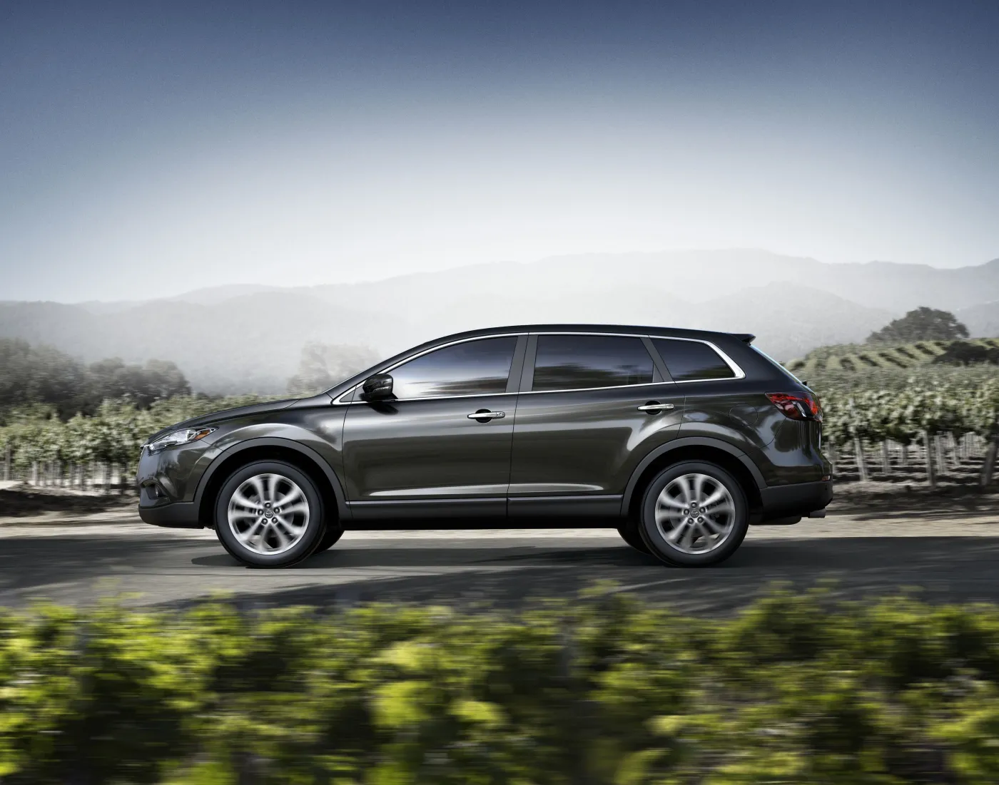 6669638-cx92014-pl-jpg300.jpg