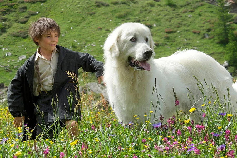 Bella i Sebastian