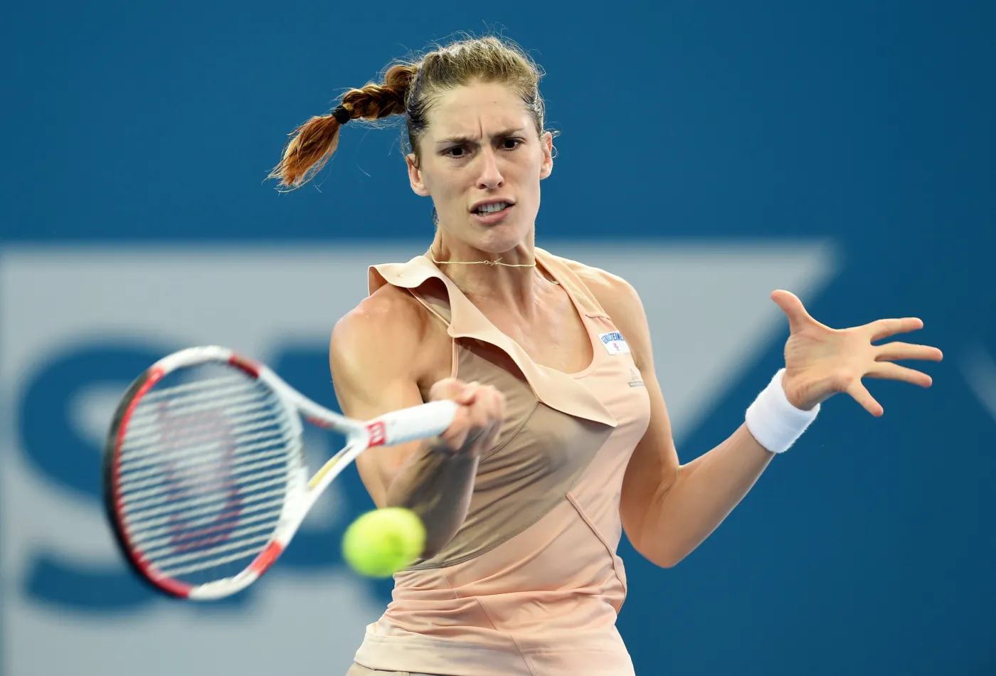 7261191-andrea-petkovic.jpg