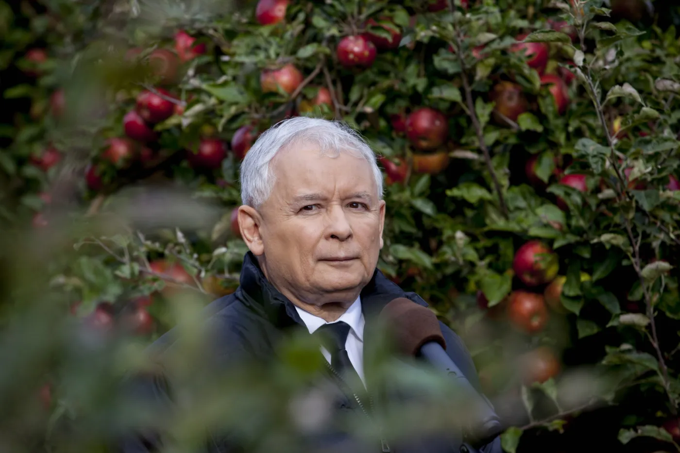 Jarosław Kaczyński