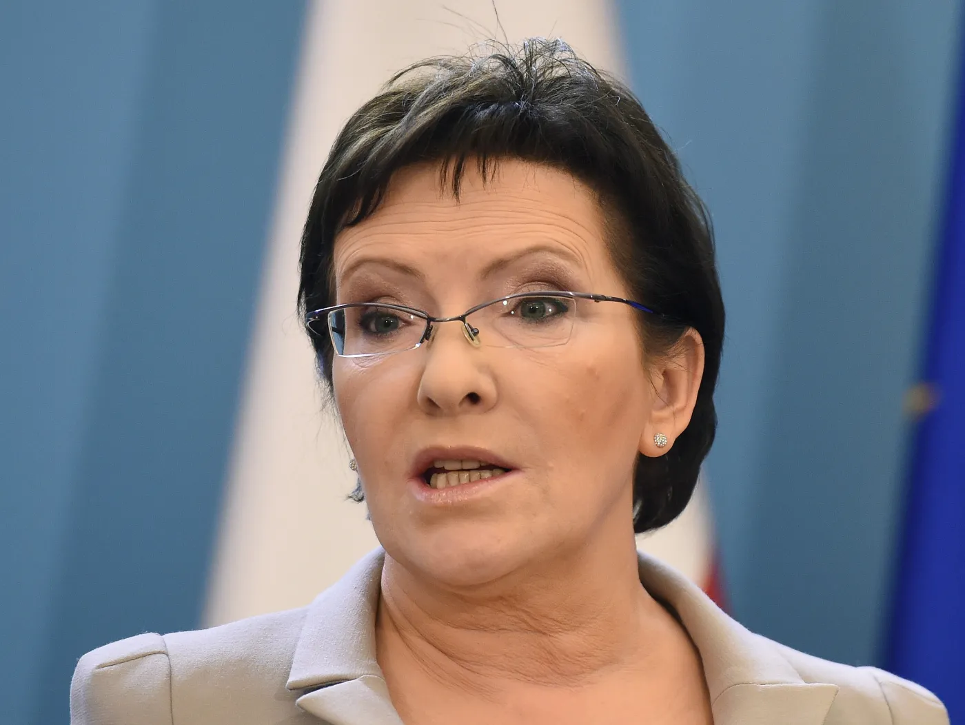 Premier Ewa Kopacz