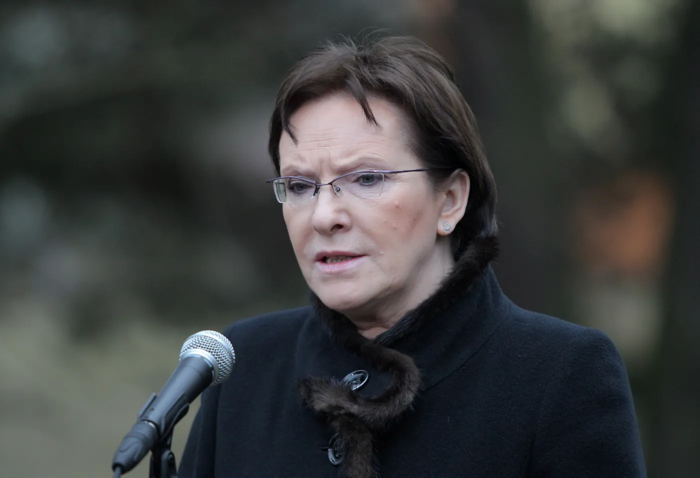 Premier Ewa Kopacz