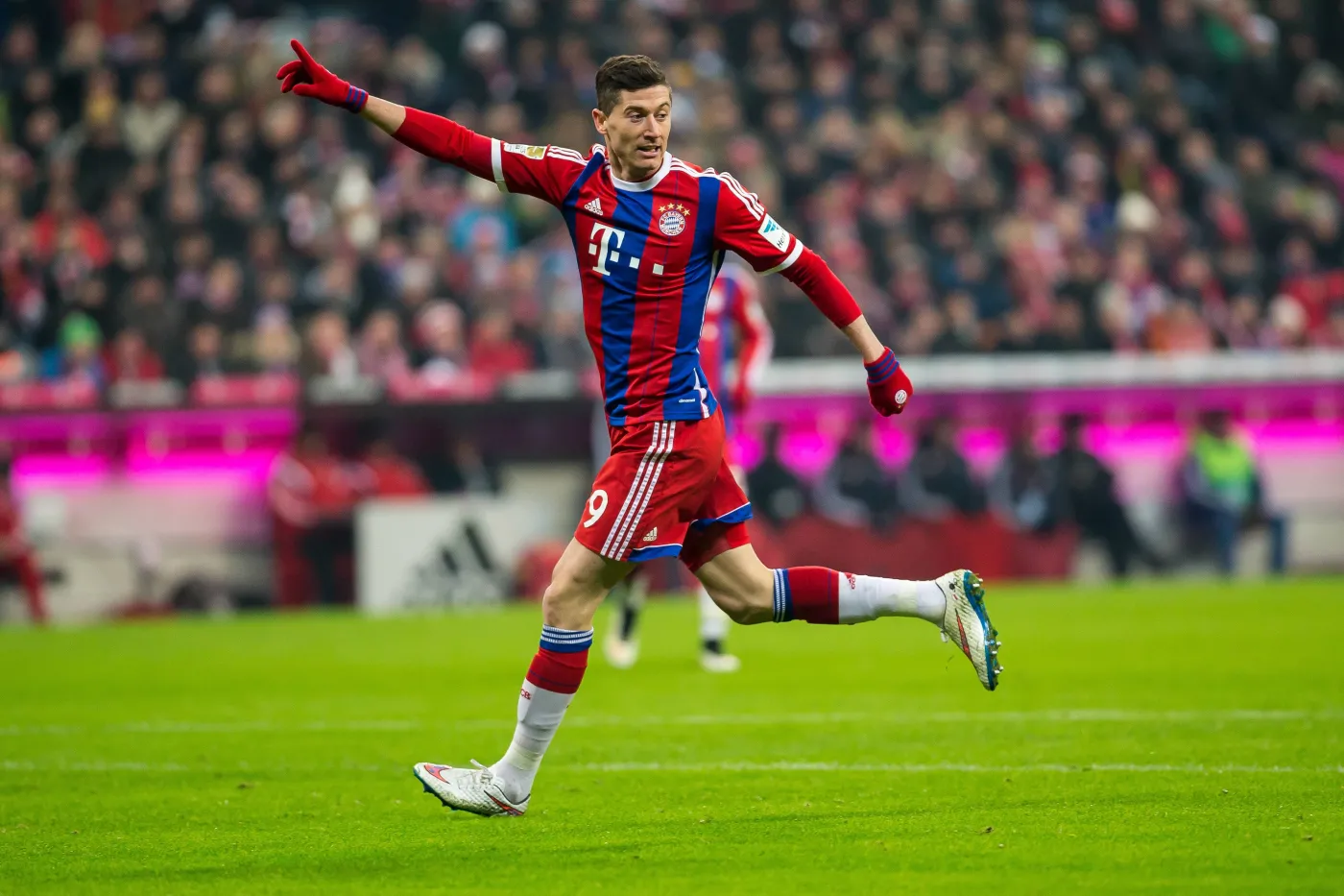 Oto najlepiej zarabiający polscy sportowcy. Lewandowski zgarnął aż 107 mln zł. ZDJĘCIA
