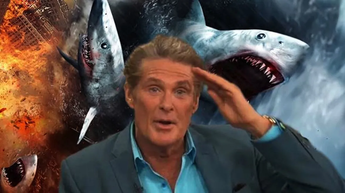 David Hasselhoff