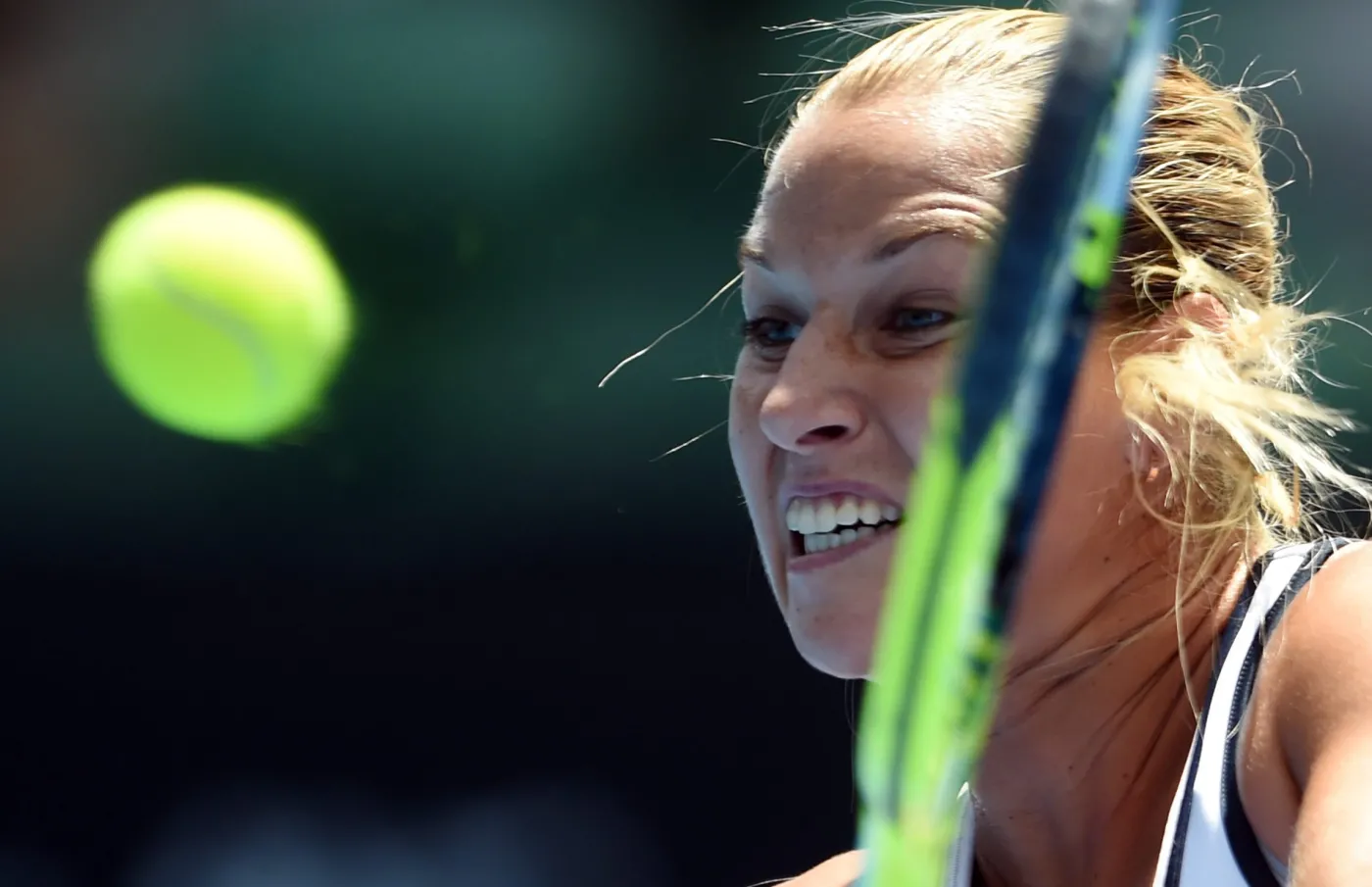 7353880-dominika-cibulkova.jpg