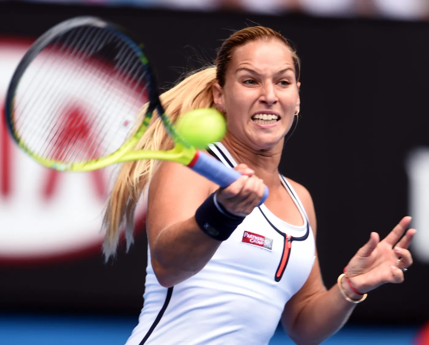 7354313-dominika-cibulkova.jpg